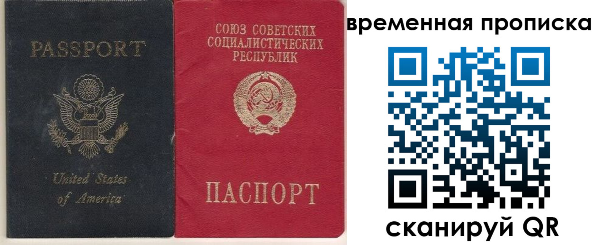 прописка для школы в Волхове